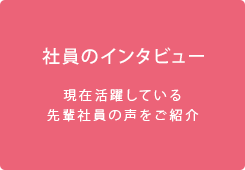 社員のインタビュー｜現在活躍している先輩社員の声をご紹介