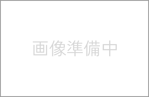 HYBRID Wi-Fi® 5G NC03 - 5G対応・クラウドSIM・衛星測位対応の次世代モバイルルーター